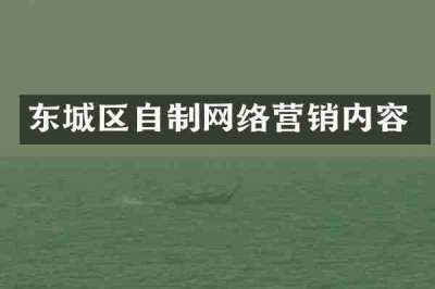 东城区自制网络营销内容