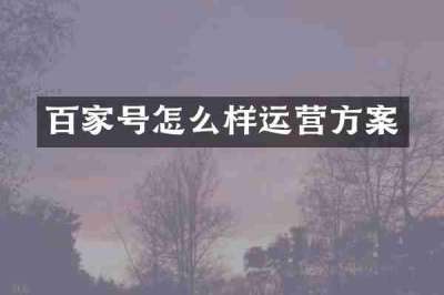 百家号怎么样运营方案