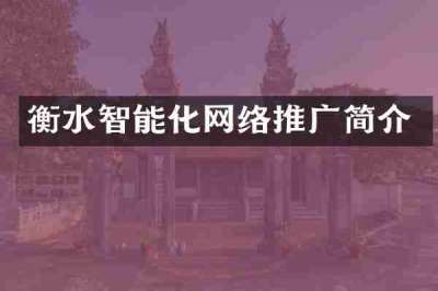 衡水智能化网络推广简介