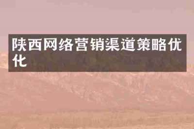 陕西网络营销渠道策略优化