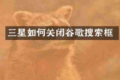 三星如何关闭谷歌搜索框