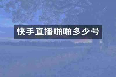 快手直播啪啪多少号