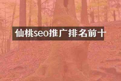仙桃seo推广排名前十