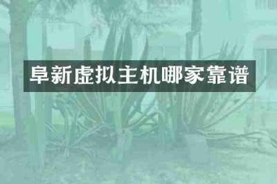 阜新虚拟主机哪家靠谱