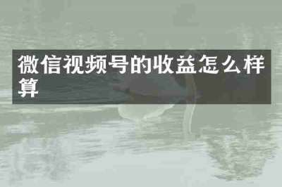 微信视频号的收益怎么样算