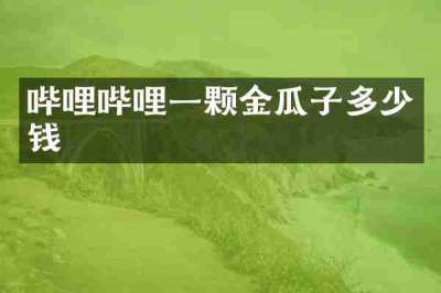 哔哩哔哩一颗金瓜子多少钱