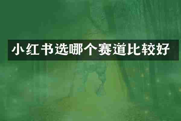 小红书选哪个赛道比较好