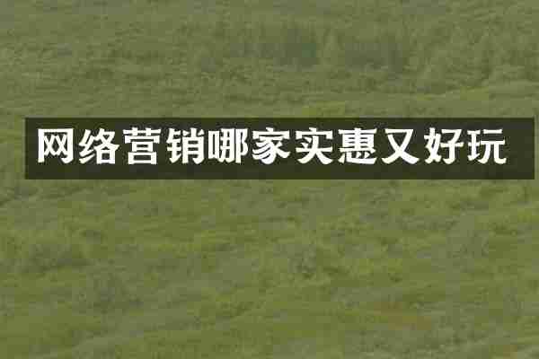 网络营销哪家实惠又好玩