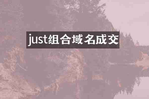 just组合域名成交