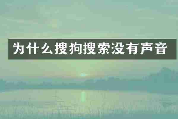 为什么搜狗搜索没有声音