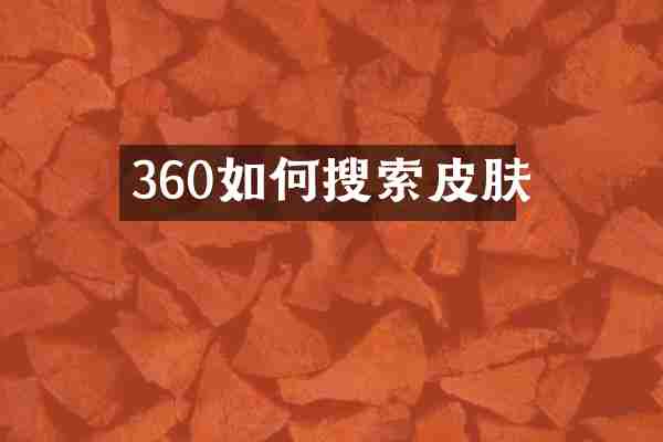 360如何搜索皮肤
