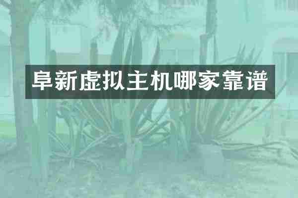 阜新虚拟主机哪家靠谱