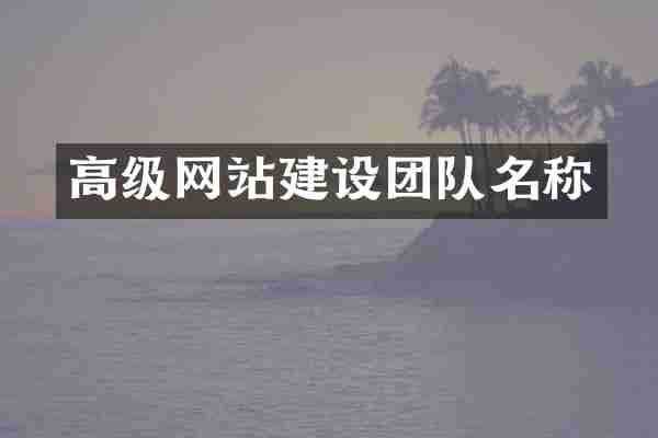 高级网站建设团队名称