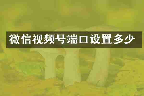 微信视频号端口设置多少
