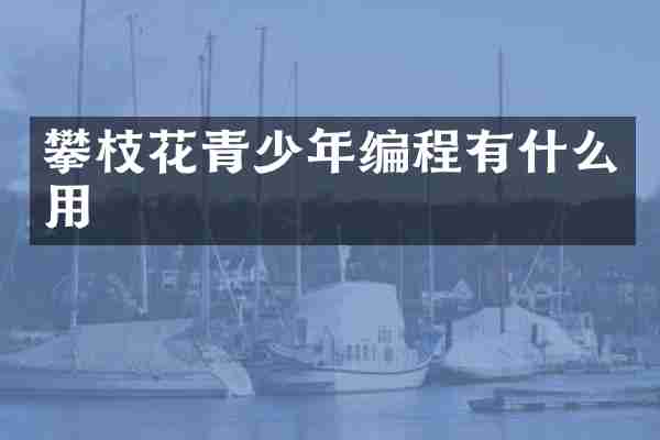 攀枝花青少年编程有什么用
