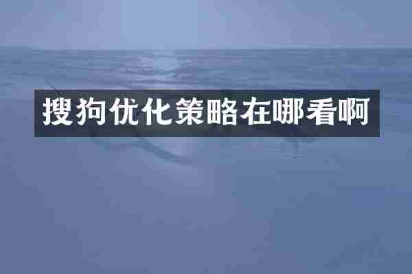 搜狗优化策略在哪看啊