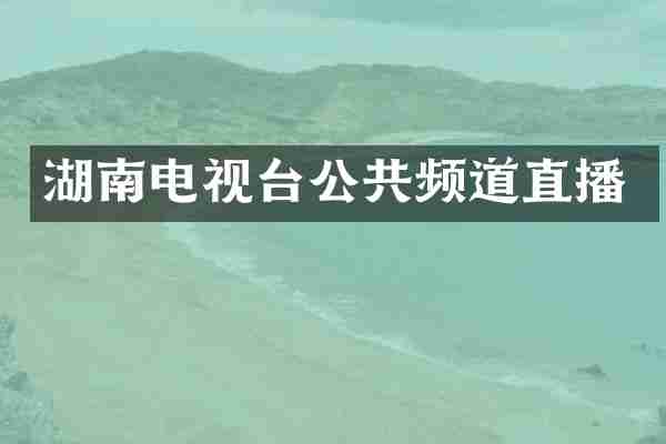 湖南电视台公共频道直播