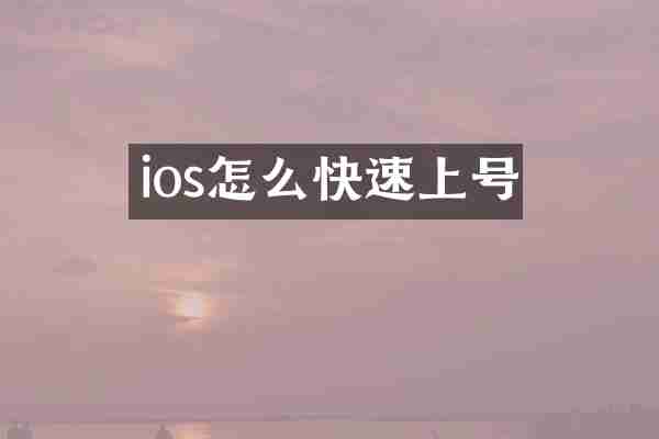ios怎么快速上号