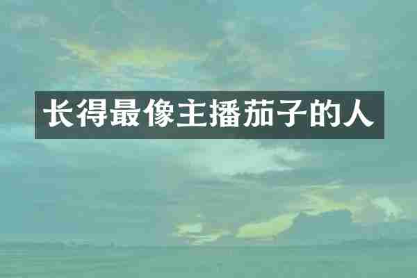 长得最像主播茄子的人