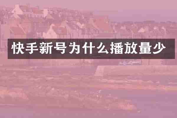 快手新号为什么播放量少