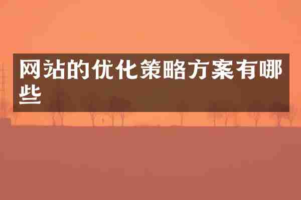 网站的优化策略方案有哪些
