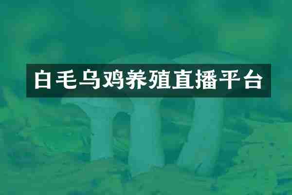 白毛乌鸡养殖直播平台