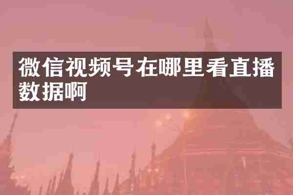微信视频号在哪里看直播数据啊