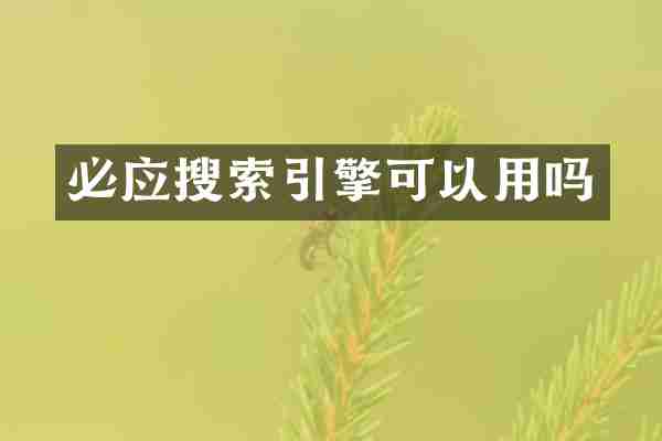必应搜索引擎可以用吗
