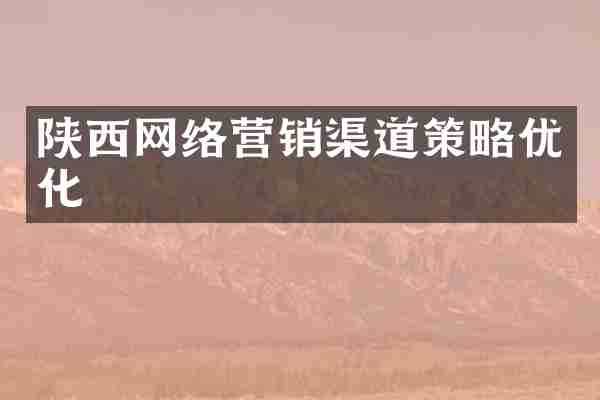陕西网络营销渠道策略优化