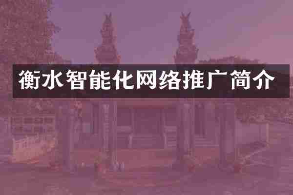 衡水智能化网络推广简介