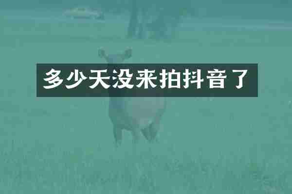 多少天没来拍抖音了