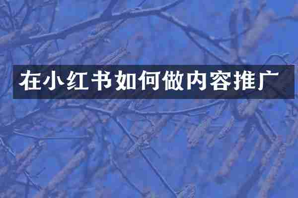 在小红书如何做内容推广