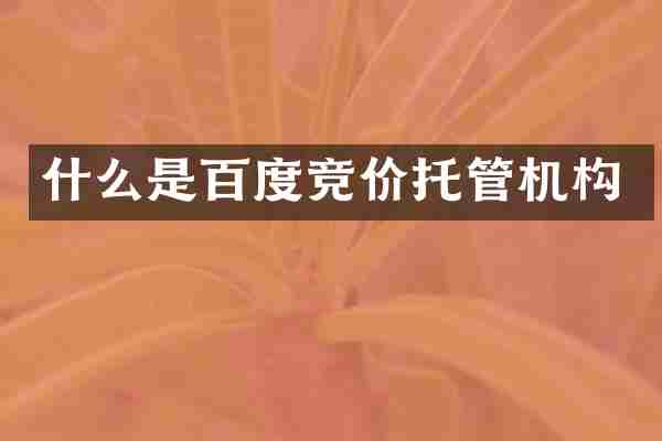 什么是百度竞价托管机构