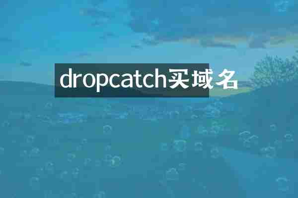 dropcatch买域名