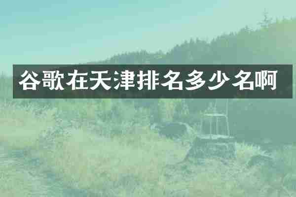 谷歌在天津排名多少名啊