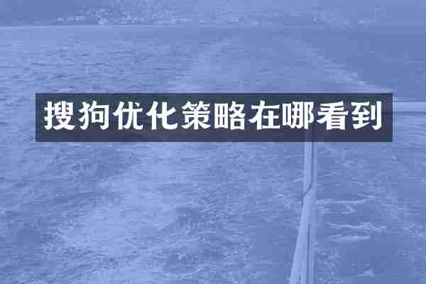 搜狗优化策略在哪看到