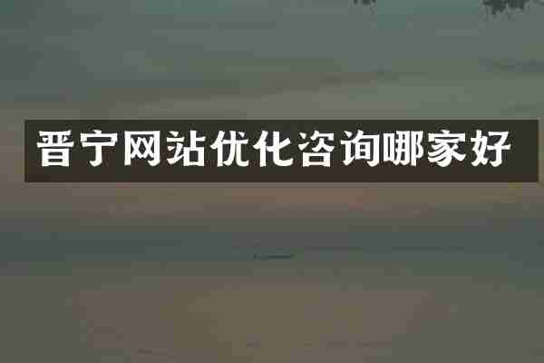晋宁网站优化咨询哪家好