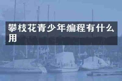 攀枝花青少年编程有什么用