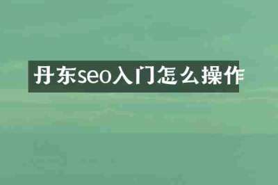 丹东seo入门怎么操作