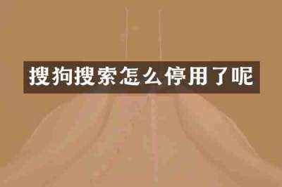 搜狗搜索怎么停用了呢