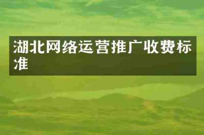 湖北网络运营推广收费标准