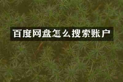 百度网盘怎么搜索账户