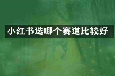 小红书选哪个赛道比较好