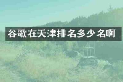 谷歌在天津排名多少名啊