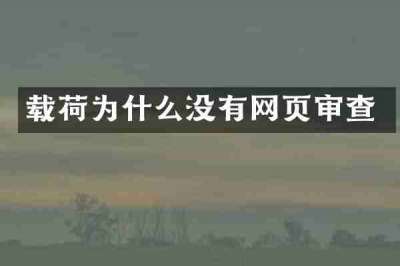载荷为什么没有网页审查