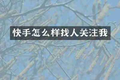 快手怎么样找人关注我