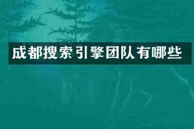 成都搜索引擎团队有哪些