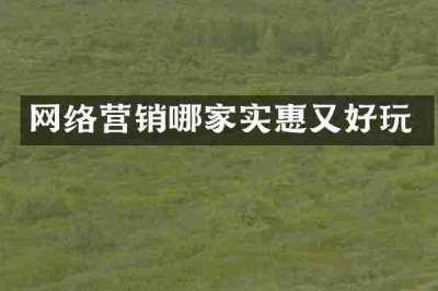 网络营销哪家实惠又好玩