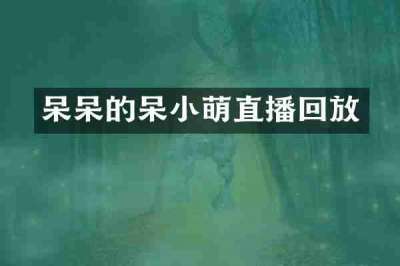 呆呆的呆小萌直播回放
