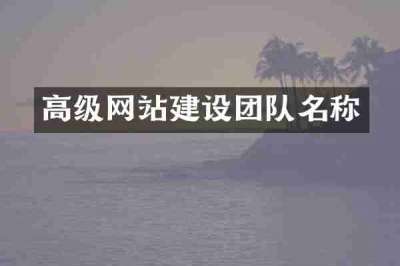 高级网站建设团队名称